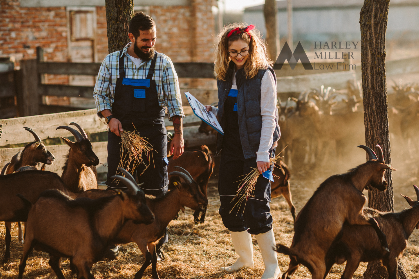 Hành lang pháp lý đối với mô hình Bất động sản mới toanh: FARMSTAY ?